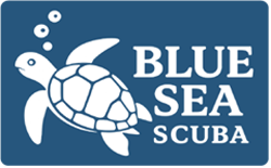 Blue Sea Scuba